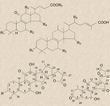 圖片關鍵詞 圖片關鍵詞