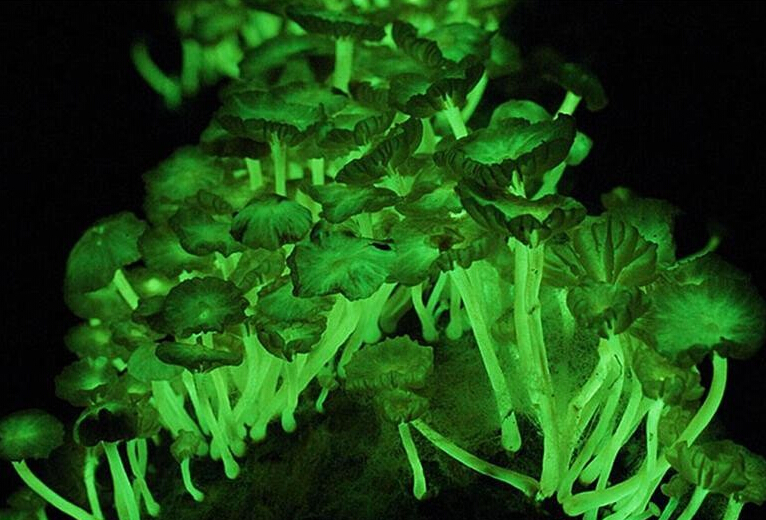 圖片關(guān)鍵詞 圖片關(guān)鍵詞