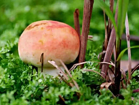 圖片關(guān)鍵詞 圖片關(guān)鍵詞