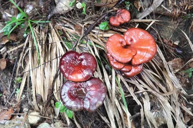 圖片關鍵詞 圖片關鍵詞