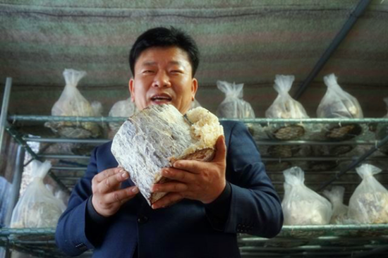 圖片關鍵詞 圖片關鍵詞