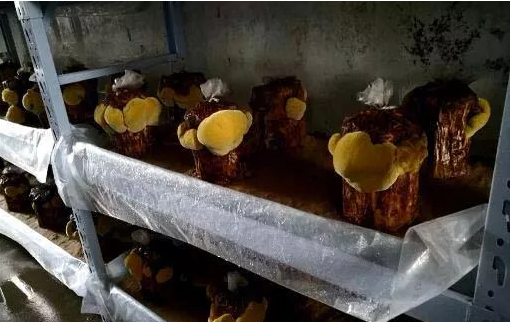 圖片關鍵詞 圖片關鍵詞