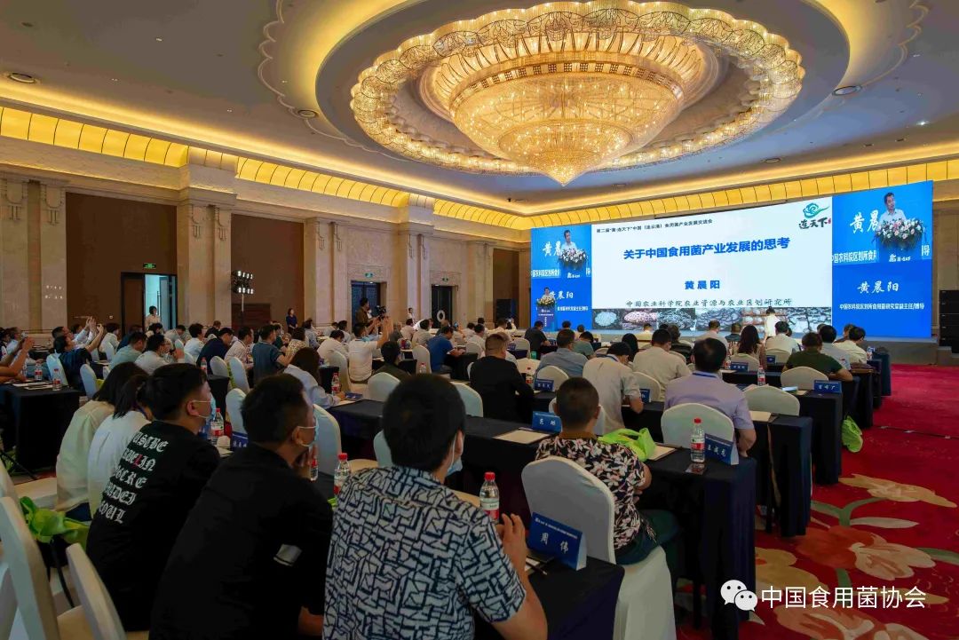 圖片關鍵詞 https://mmbiz.qpic.cn/mmbiz_jpg/qmUUOFzKOyRYEBXKnSHMvP5v7LsM30EkWDr0uaC5qDp2PxtCakR619icweDmQFELIDCtVm1nd476fQqkxsicQkyQ/640?wx_fmt=jpeg