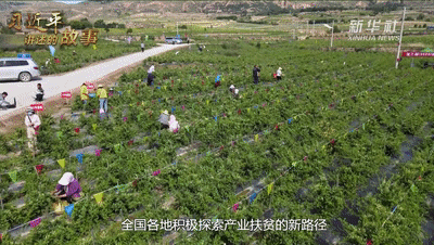 圖片關(guān)鍵詞 https://mmbiz.qpic.cn/mmbiz_gif/SxfSv2XOxf7F6h9Fnpicibhibo2FtzRrSNmLdOt3fmwJLcooiciaibFzfTBBtWZiaf4FKic7aLzD4ic6v5pdmJCN68iarmWA/640?wx_fmt=gif&tp=webp&wxfrom=5&wx_lazy=1