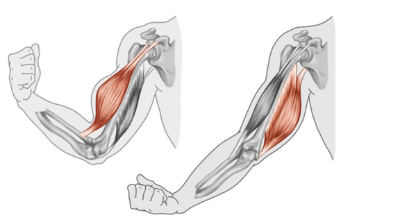 圖片關(guān)鍵詞 圖片關(guān)鍵詞