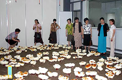 圖片關鍵詞 圖片關鍵詞