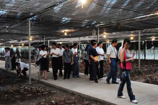 圖片關鍵詞 圖片關鍵詞