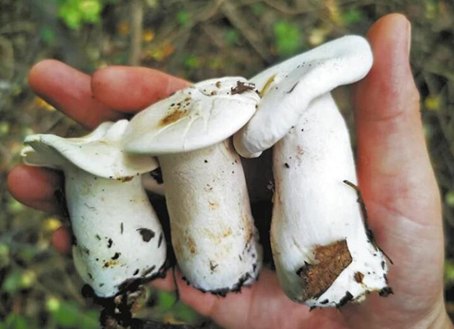 圖片關鍵詞 圖片關鍵詞