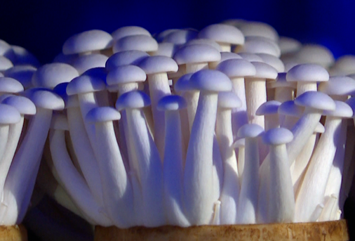 圖片關鍵詞 圖片關鍵詞