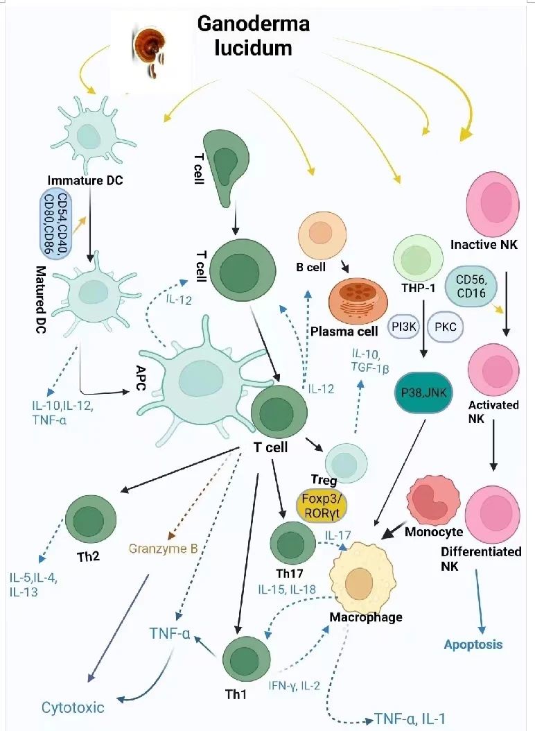 圖片關鍵詞 圖片關鍵詞