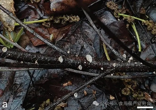 圖片關鍵詞 圖片關鍵詞