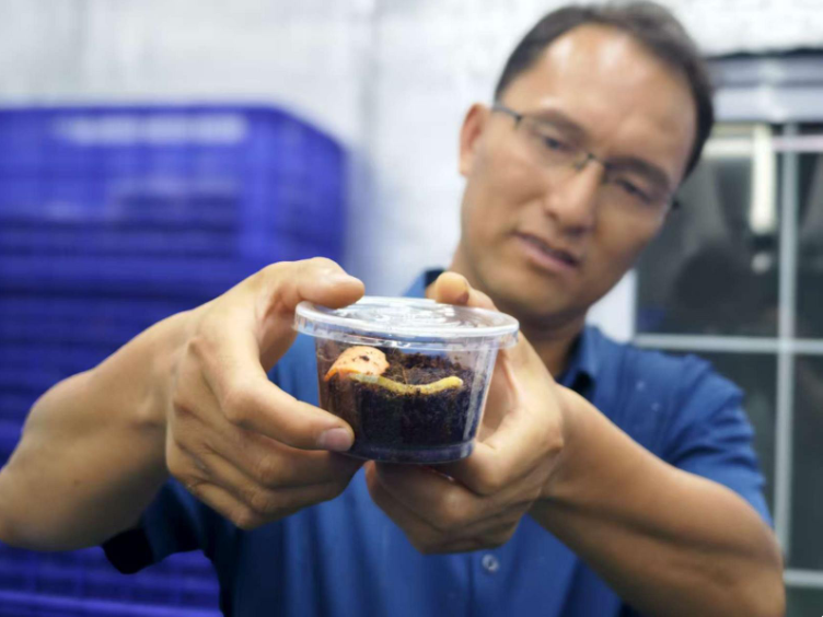 圖片關(guān)鍵詞 圖片關(guān)鍵詞