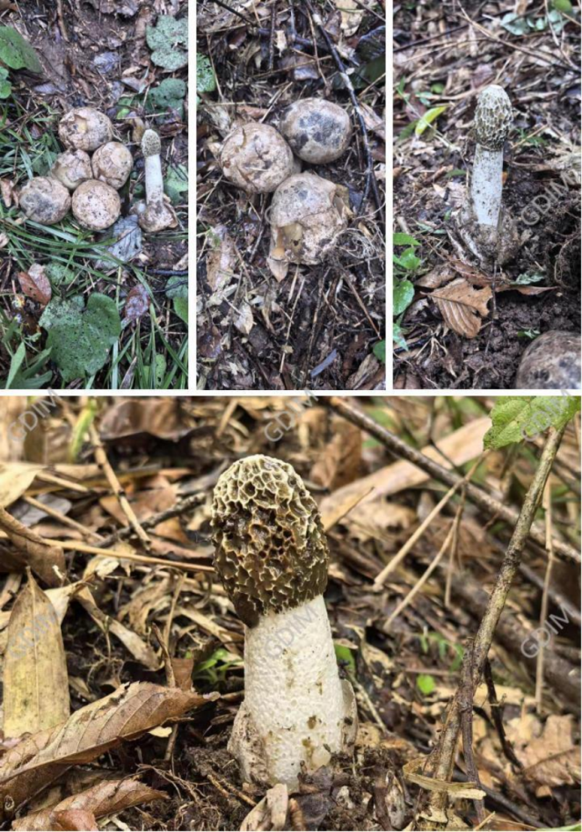 圖片關鍵詞 圖片關鍵詞